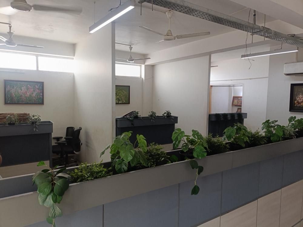Open-plan office with workstations behind a planter of indoor plants